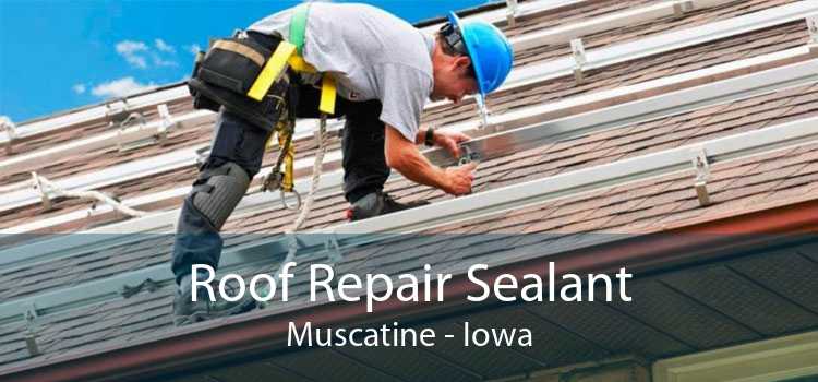 Roof Repair Sealant Muscatine - Iowa