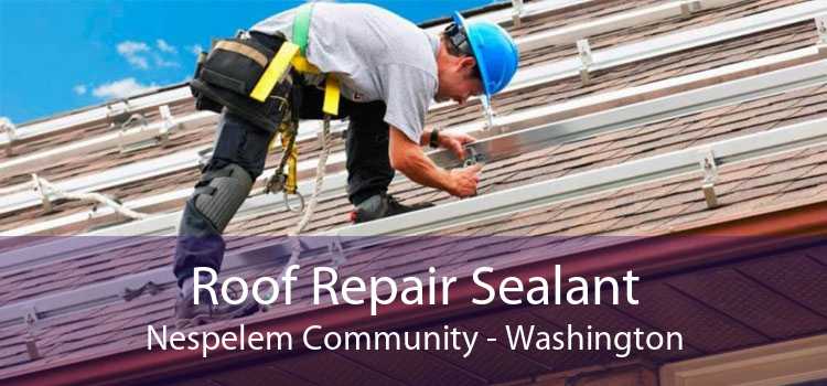 Roof Repair Sealant Nespelem Community - Washington