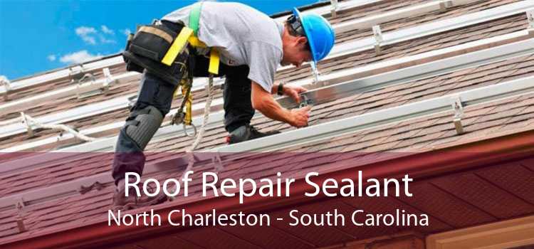 Roof Repair Sealant North Charleston - South Carolina