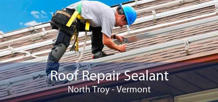 Roof Repair Sealant North Troy - Vermont