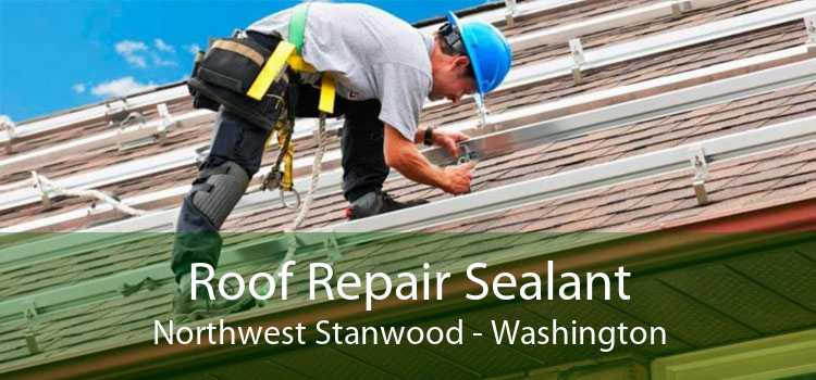 Roof Repair Sealant Northwest Stanwood - Washington