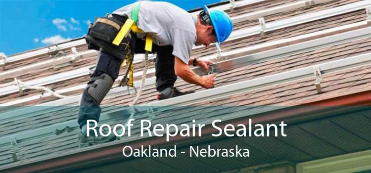 Roof Repair Sealant Oakland - Nebraska