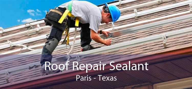 Roof Repair Sealant Paris - Texas