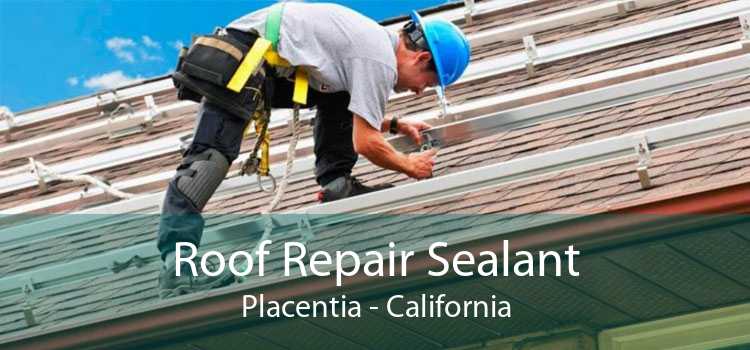 Roof Repair Sealant Placentia - California