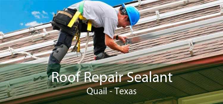 Roof Repair Sealant Quail - Texas