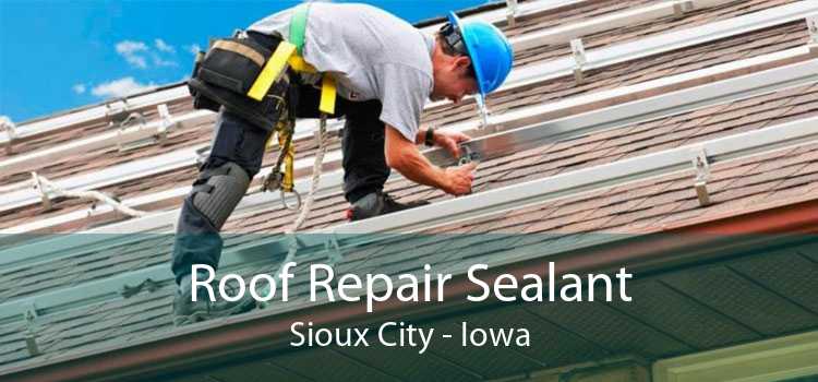 Roof Repair Sealant Sioux City - Iowa