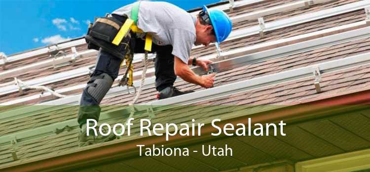 Roof Repair Sealant Tabiona - Utah