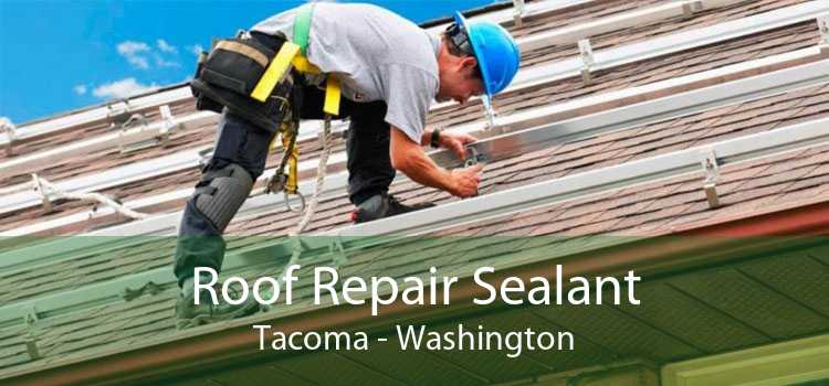 Roof Repair Sealant Tacoma - Washington