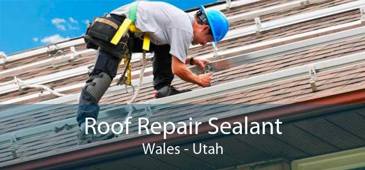 Roof Repair Sealant Wales - Utah