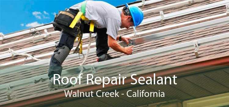 Roof Repair Sealant Walnut Creek - California