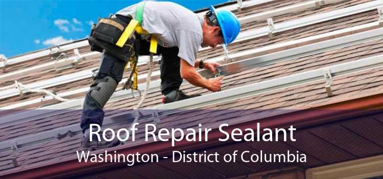 Roof Repair Sealant Washington - District of Columbia