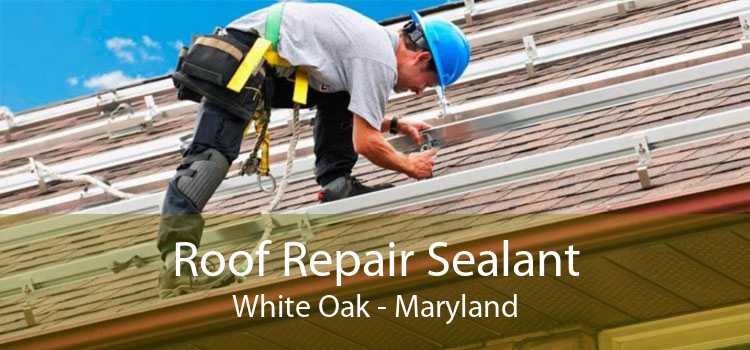 Roof Repair Sealant White Oak - Maryland