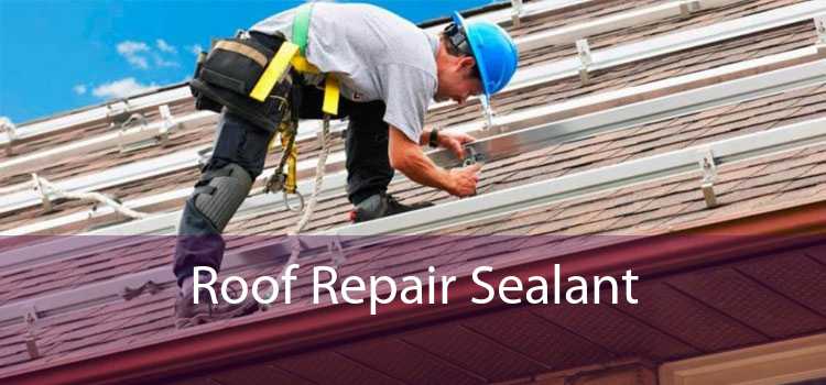 Roof Repair Sealant 