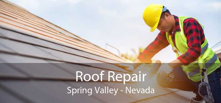 Roof Repair Spring Valley - Nevada