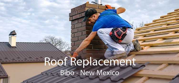 Roof Replacement Bibo - New Mexico