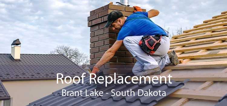 Roof Replacement Brant Lake - South Dakota