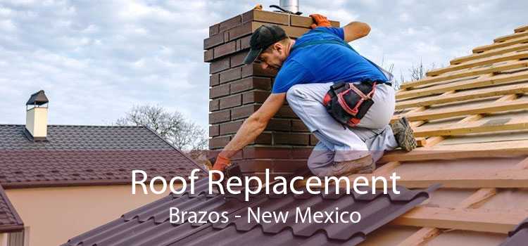 Roof Replacement Brazos - New Mexico