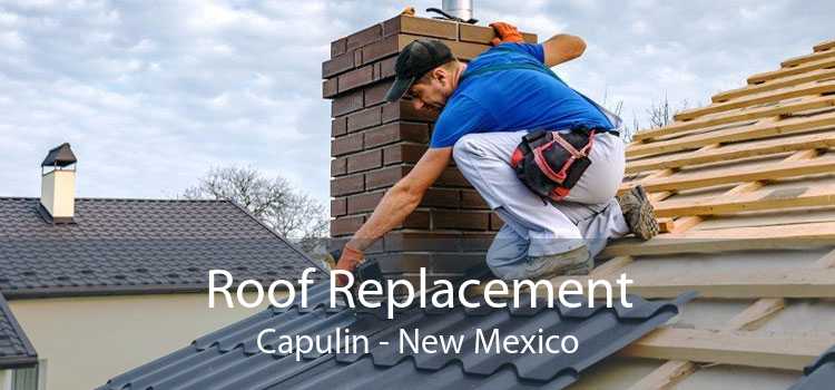 Roof Replacement Capulin - New Mexico