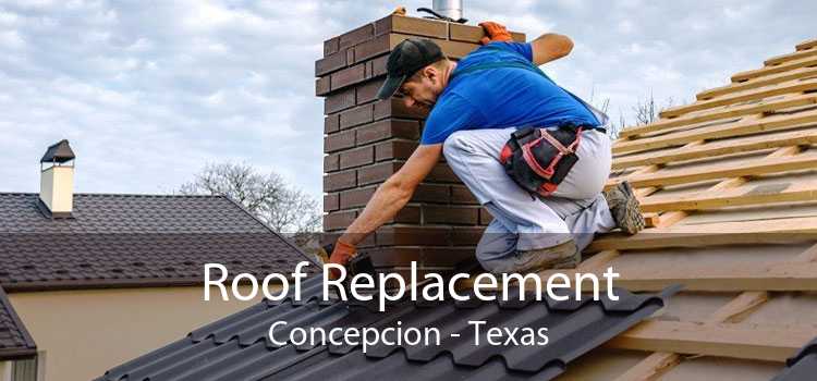 Roof Replacement Concepcion - Texas