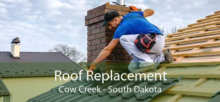 Roof Replacement Cow Creek - South Dakota