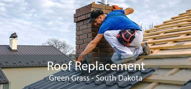 Roof Replacement Green Grass - South Dakota