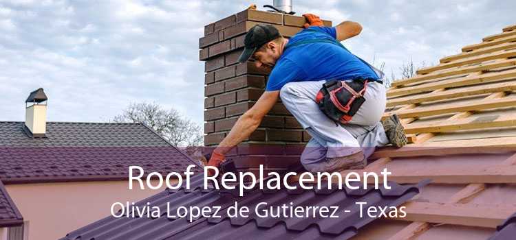 Roof Replacement Olivia Lopez de Gutierrez - Texas