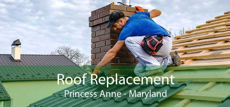Roof Replacement Princess Anne - Maryland