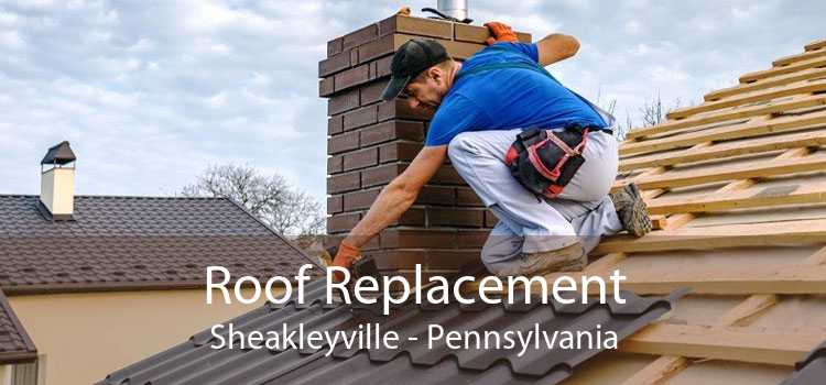 Roof Replacement Sheakleyville - Pennsylvania