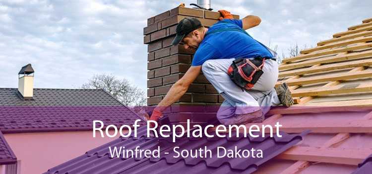 Roof Replacement Winfred - South Dakota