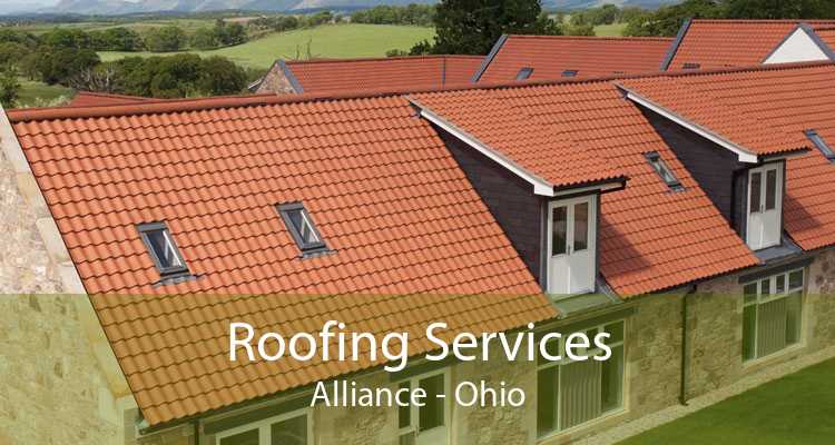 Roofing Services Alliance - Ohio