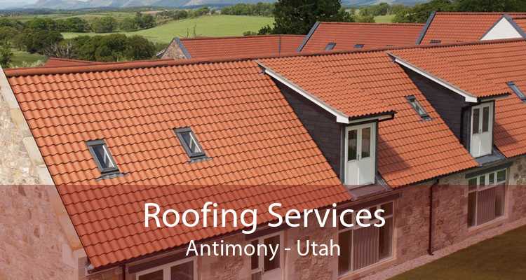 Roofing Services Antimony - Utah