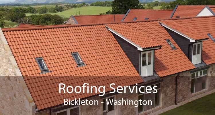 Roofing Services Bickleton - Washington