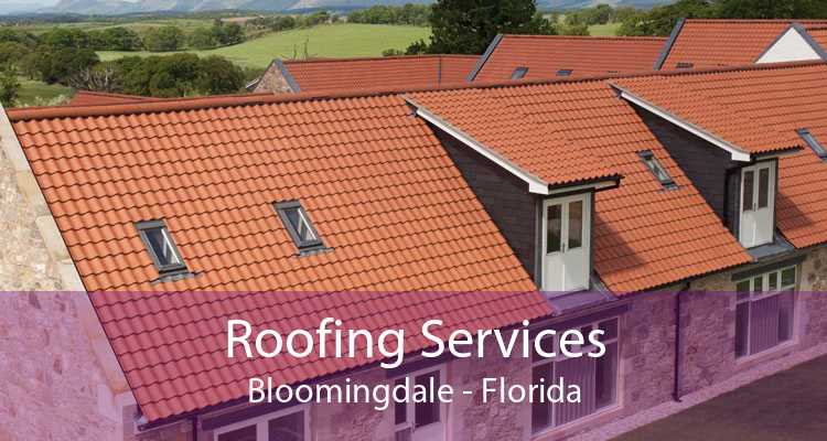 Roofing Services Bloomingdale - Florida