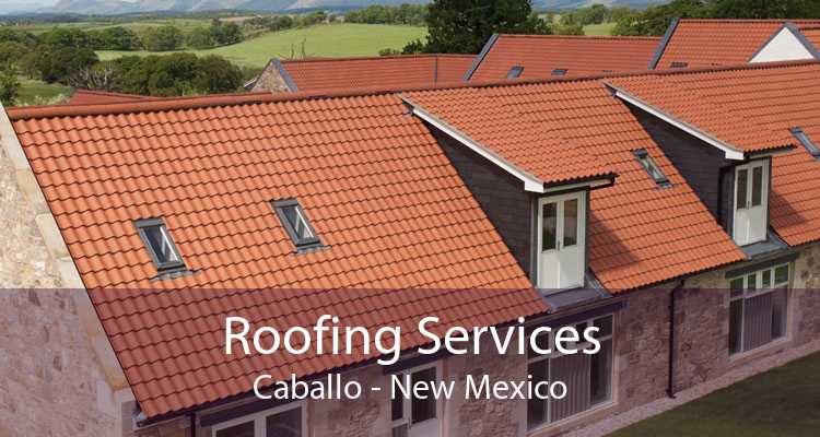 Roofing Services Caballo - New Mexico