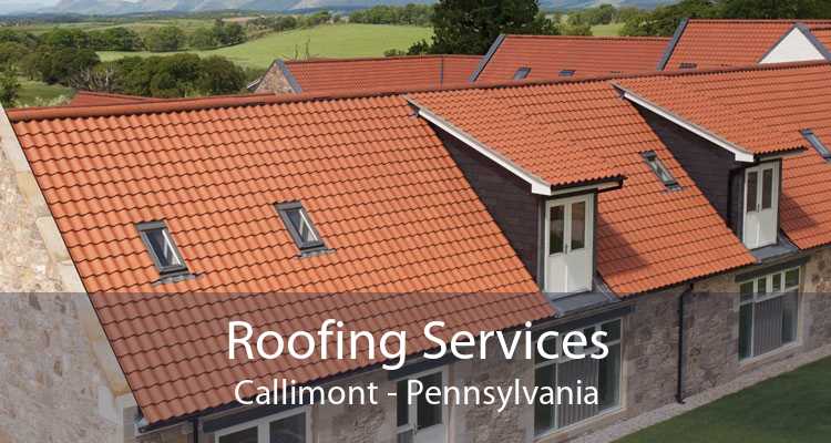 Roofing Services Callimont - Pennsylvania