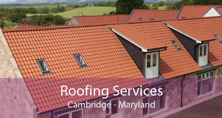 Roofing Services Cambridge - Maryland