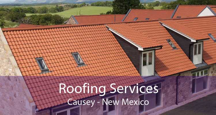 Roofing Services Causey - New Mexico