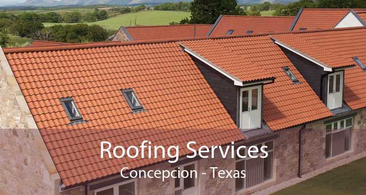 Roofing Services Concepcion - Texas
