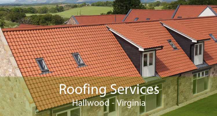 Roofing Services Hallwood - Virginia