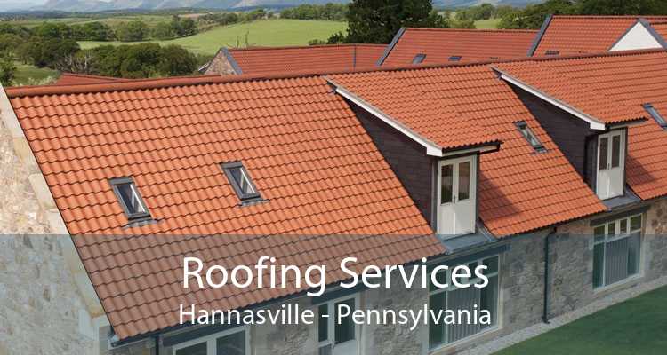 Roofing Services Hannasville - Pennsylvania