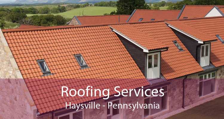 Roofing Services Haysville - Pennsylvania