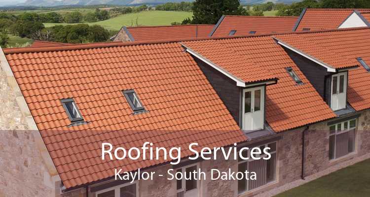 Roofing Services Kaylor - South Dakota