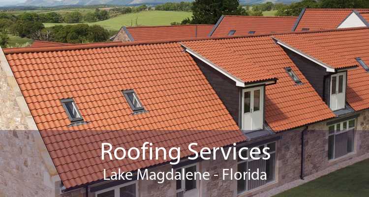 Roofing Services Lake Magdalene - Florida