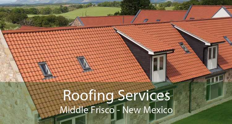 Roofing Services Middle Frisco - New Mexico