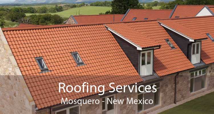 Roofing Services Mosquero - New Mexico