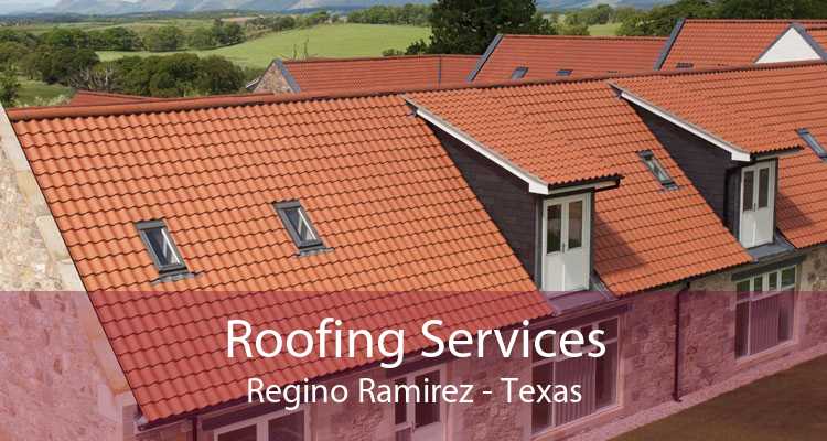 Roofing Services Regino Ramirez - Texas