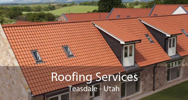 Roofing Services Teasdale - Utah