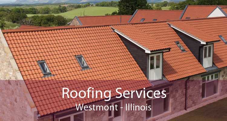 Roofing Services Westmont - Illinois