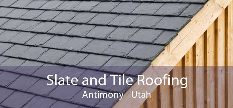 Slate and Tile Roofing Antimony - Utah
