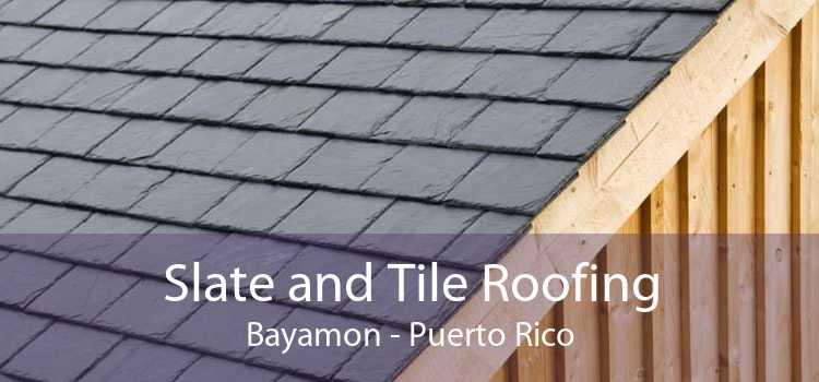 Slate and Tile Roofing Bayamon - Puerto Rico